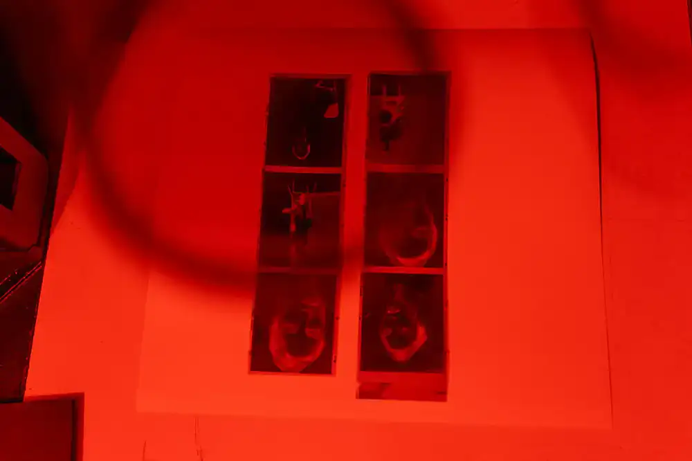 Close up of photography prints and studio details