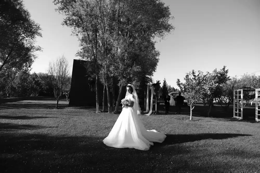 Wedding ceremony wide shot